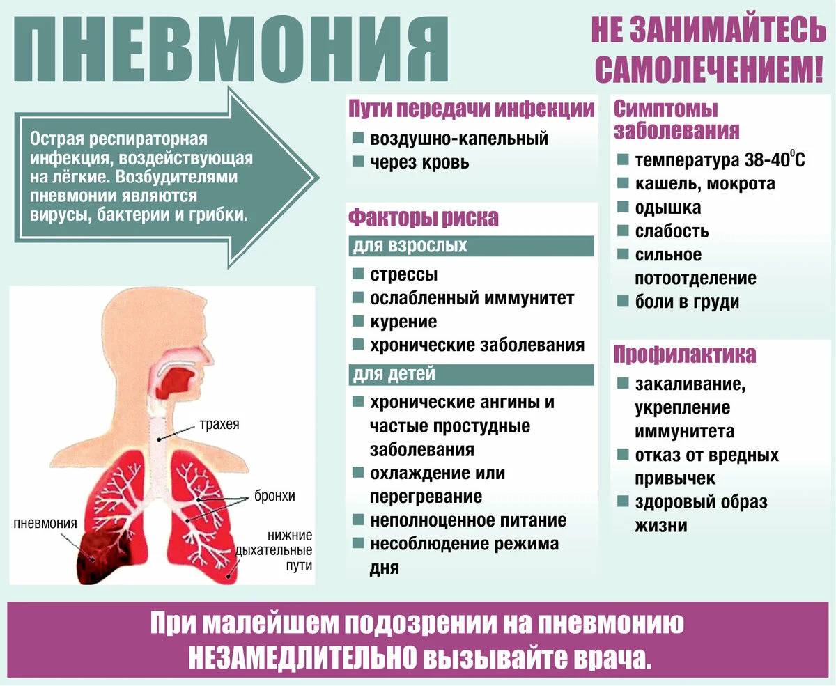 О профилактике внебольничной пневмонии О профилактике внебольничной пневмонии.